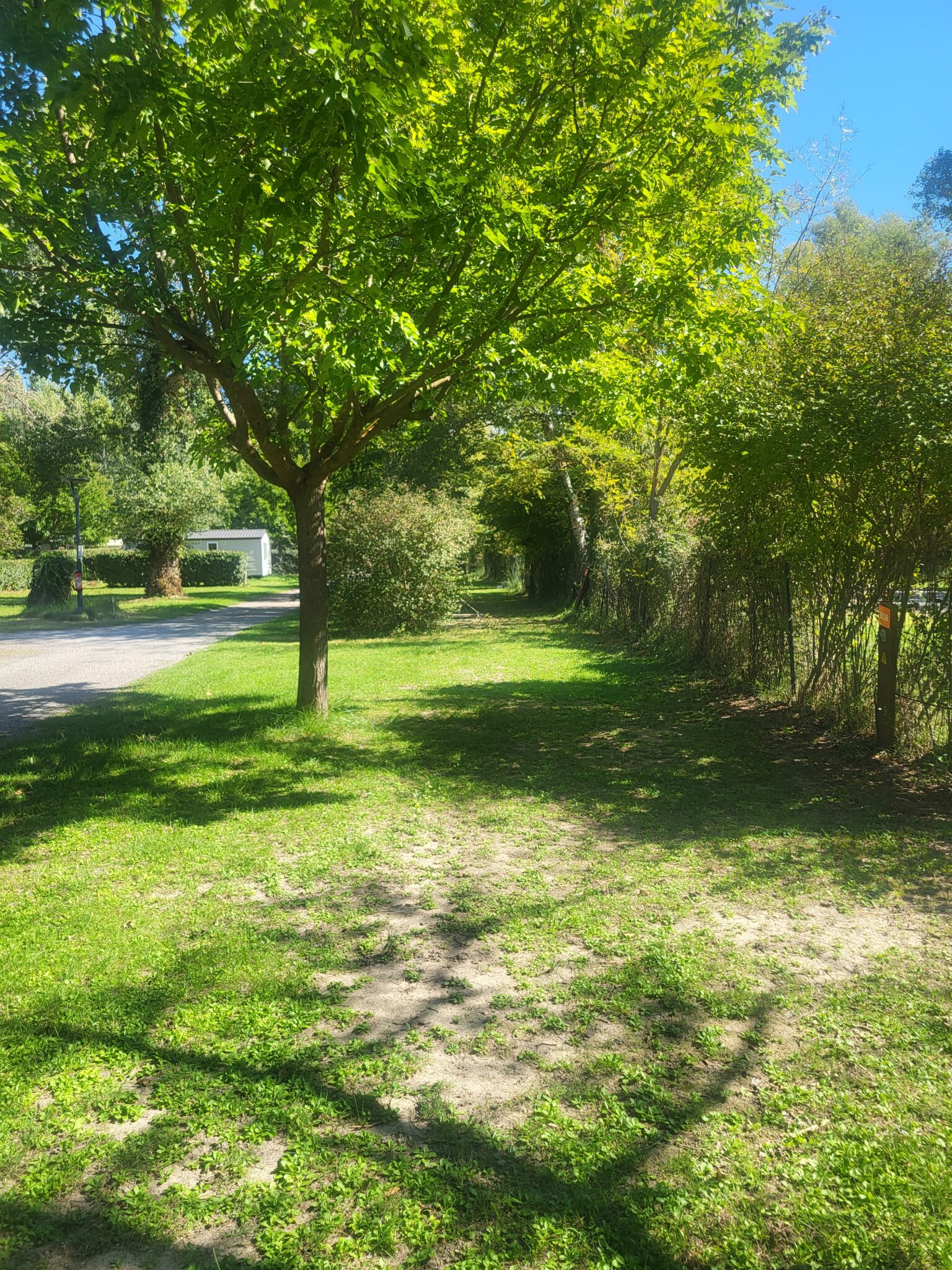 LPV Empl. Classic 20 45